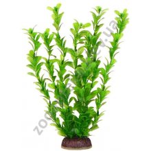Aquatic Nature - аквариумное растение Акватик Натюр, 29 см х 8 шт/уп