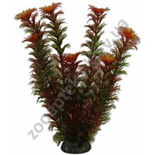 Aquatic Nature - аквариумное растение Акватик Натюр, 25 см х 8 шт/уп
