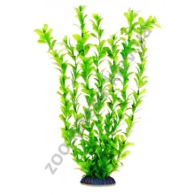 Aquatic Nature - аквариумное растение Акватик Натюр, 34 см, цвет салатовый