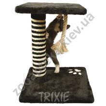 Trixie Viana - драпак Тріксі Віана для кошенят