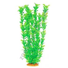 Aquatic Nature - аквариумное растение Акватик Натюр, 46 см х 6 шт/уп