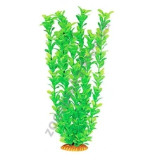 Aquatic Nature - акваріумна рослина Акватик Натюр, 46 см х 6 шт/уп