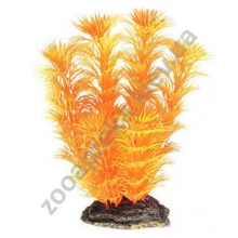 Aquatic Nature - аквариумное растение Акватик Натюр, цвет оранжево-желтый