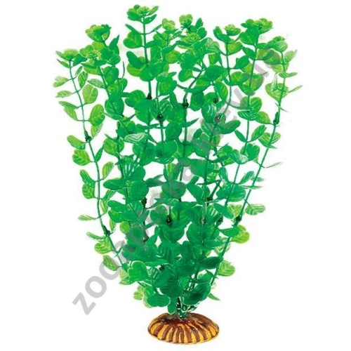 Акватик Натюр - растение аквариумное Aquatic Nature, 29 см х 6 шт/уп, цвет зеленый