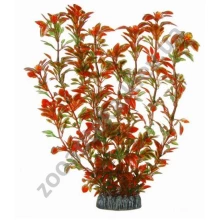 Aquatic Nature - аквариумное растение Акватик Натюр, 29 см х 8 шт/уп, цвет красно-зеленый