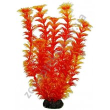 Aquatic Nature - акваріумна рослина Акватик Натюр, 25 см х 8 шт/уп
