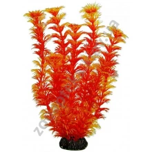 Aquatic Nature - аквариумное растение красное  Акватик Натюр, 25 см х 8 шт/уп