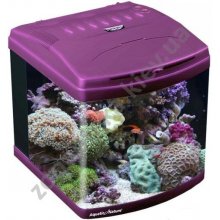 Aquatic Nature Evolution - аквариум Акватик Натюр, пурпурный