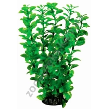 Aquatic Nature - аквариумное растение Акватик Натюр, 29 см х 6 шт/уп, цвет зеленый 