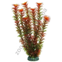 Aquatic Nature - рослина акваріумна Акватик Натюр, 29 см х 6 шт/уп, колір червоно-зелений