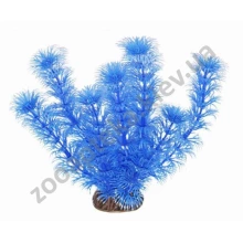 Aquatic Nature - аквариумное растение Акватик Натюр, синего цвета