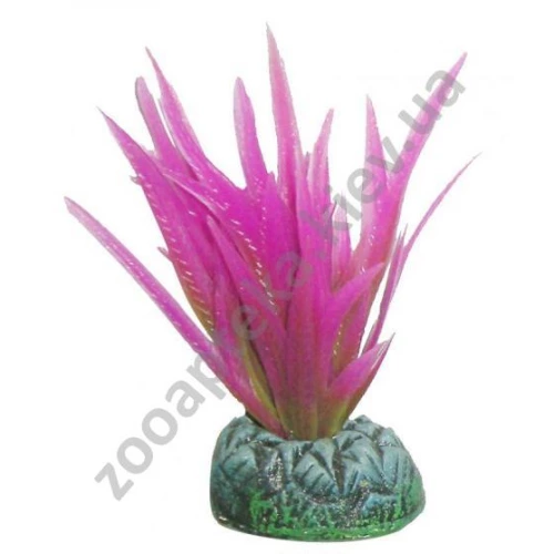 Aquatic Nature - аквариумное растение Акватик Натюр, 8 см х 10 шт/уп, цвет розовый