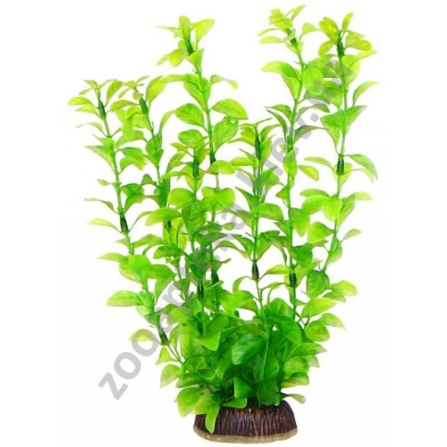 Акватик Натюр - акваріумна рослина, 25 см х 8 шт/уп, колір зелений