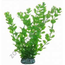 Aquatic Nature - аквариумное растение Акватик Натюр, 25 см х 8 шт/уп