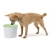 Catit Fresh and Clear - поилка-фонтан Катит для кошек и собак