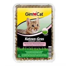 GimPet Katzen-Gras - трава с поддоном Джимпет для кошек