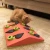 Nina Ottosson Puzzle and Play Melon Madness - игрушка-головоломка Нина Оттоссон Арбуз для кошек