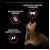 Purina Pro Plan Adult Delicate Digestion Turkey - корм Пуріна Про План з індичкою для кішок