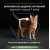 Purina Pro Plan Sterilised Senior Longevis - корм Пурина Про План с индейкой для кошек старше 7 лет