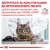Royal Canin Urinary S/O - корм Роял Канин при заболеваниях мочевыделительной системы у кошек