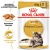 Royal CanIn Maine Coon - корм Роял Канин для кошек породы мейн-кун