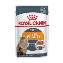Royal Canin Intense Beauty in Jelly - корм Роял Канин для красивой кожи и шерсти котов в желе