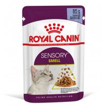 Royal Canin Sensory Smell Jelle - корм Роял Канін шматочки в желе для кішок вибагливих до аромату