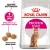 Royal Canin Exigent Protein - корм Роял Канін для дорослих кішок, вибагливих до складу