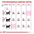 Royal Canin Exigent Protein - корм Роял Канин для взрослых кошек, привередливых к составу