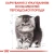 Royal Canin Persian Kitten - корм Роял Канін для перських кошенят у віці від 4 до 12 місяців