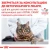 Royal Canin Renal Feline Cat - корм Роял Канін для дієтотерапії ниркової недостатності
