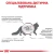 Royal Canin Gastro Intestinal Feline Cat - корм Роял Канин при нарушениях пищеварения