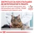 Royal Canin Sensitivity Control Cat - корм Роял Канин при аллергиях
