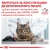 Royal Canin Urinary S/O Moderate Calorie - сухой корм Роял Канин при мочекаменной болезни у кошек