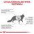 Royal Canin Hepatic Cat - корм Роял Канин для кошек при заболеваниях печени