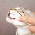 Trixie Dental-Care - стоматологический набор Трикси для кошек