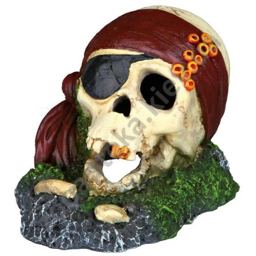 Trixie Pirate - декорация Трикси череп пирата