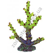 Trixie Coral - декорація Тріксі корал