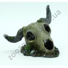 Trixie Buffalo Skull - декорація Тріксі череп бика