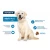 Advance Maxi Adult - корм Едванс для дорослих собак від 2 до 6 років
