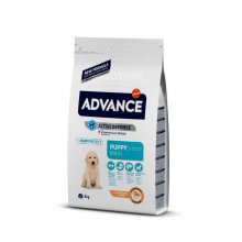 Advance Maxi Puppy - корм Эдванс для щенков крупных пород от 2 до 12 месяцев