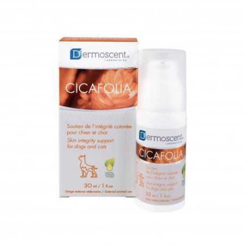 Dermoscent Cicafolia - гель Цикафолия для восстановления кожи