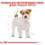 Royal Canin Jack Russel Terrier Adult - корм Роял Канін для джек-рассел-тер'єрів