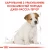 Royal Canin Jack Russel Terrier Junior - корм Роял Канин для щенков Джек-рассел-терьеров