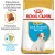 Royal Canin Jack Russel Terrier Junior - корм Роял Канин для щенков Джек-рассел-терьеров