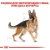 Royal Canin German Shepherd Adult - корм Роял Канін для німецьких вівчарок