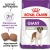 Royal Canin Giant Adult - корм Роял Канін для дорослих собак гігантських порід