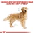Royal Canin Golden Retriever Adult - корм Роял Канін для голден ретриверів