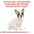 Royal Canin French Bulldog Junior - корм Роял Канін для цуценят французького бульдога
