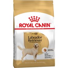 Royal Canin Labrador Retriever Adult - корм Роял Канин для взрослых лабрадоров ретриверов